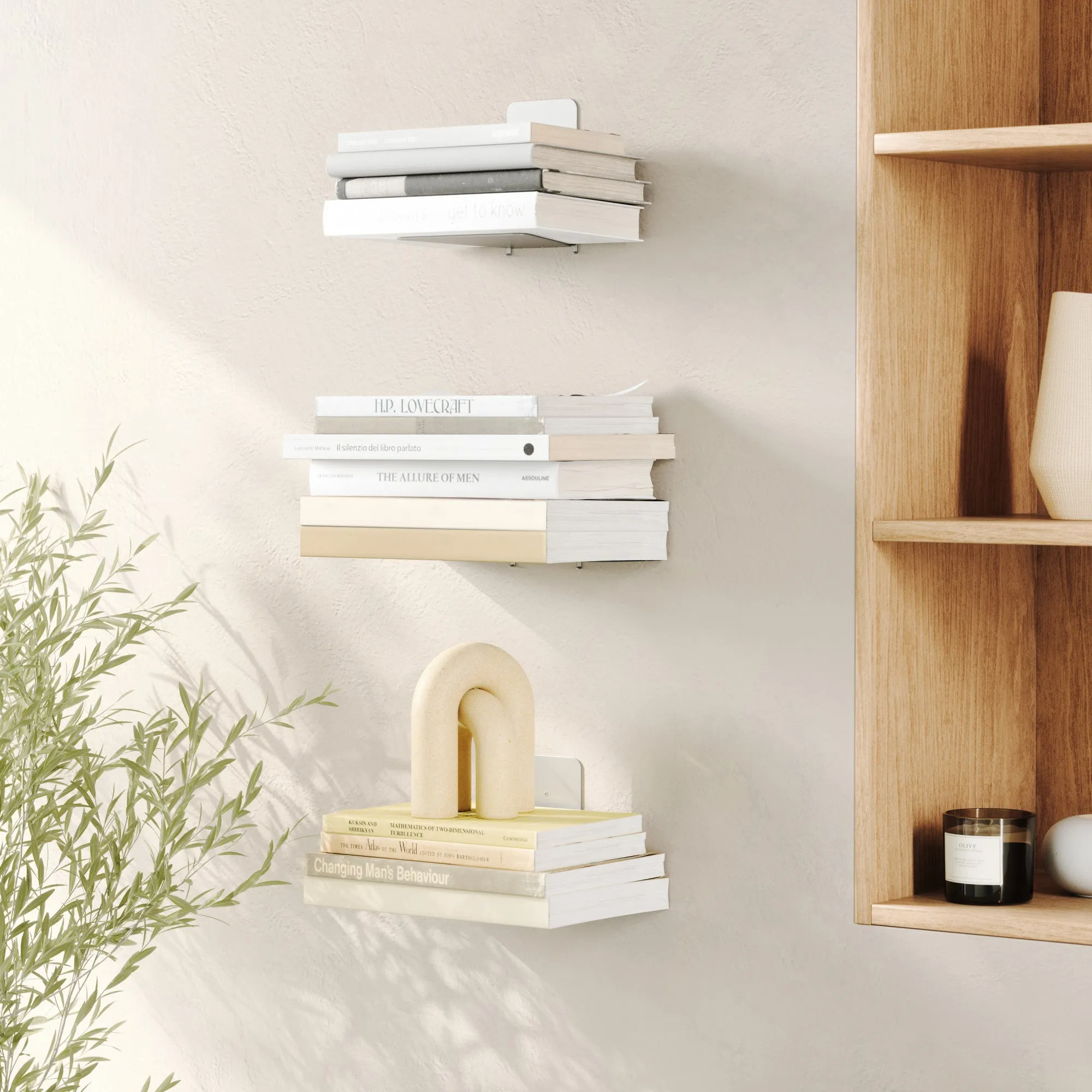 Conceal Shelves, Set Of 3