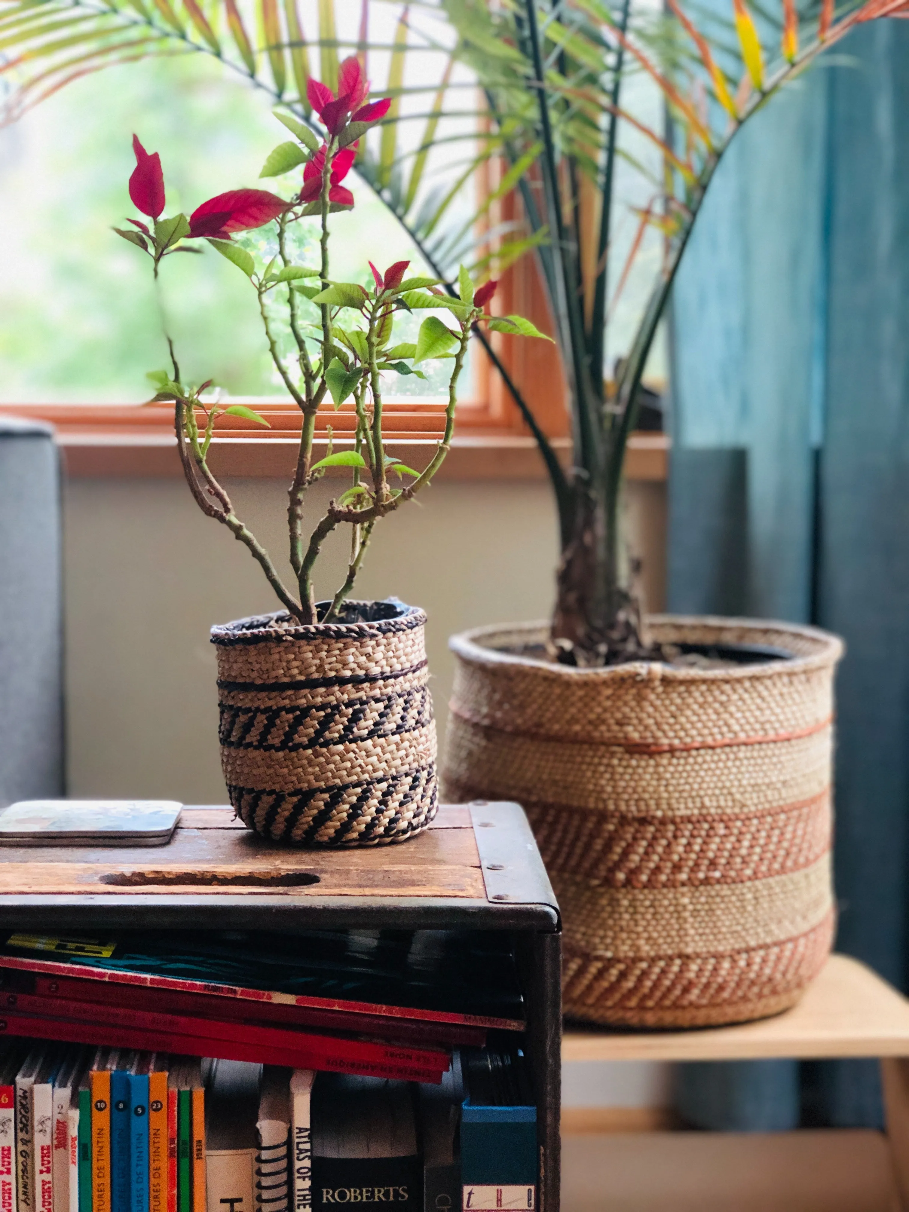 Iringa Baskets - Auburn Stripe  | Woven Milulu Grass - Africa