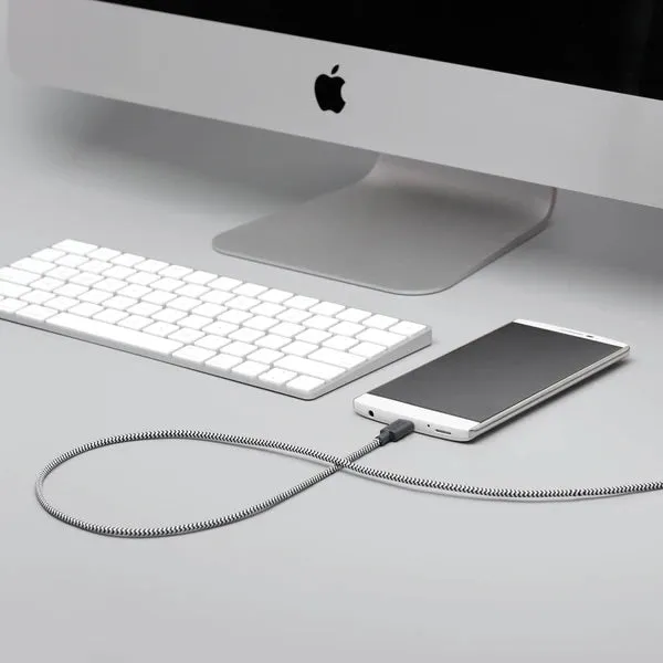 Native Union- Belt Cable  XL USB-C to USB-A - Zebra