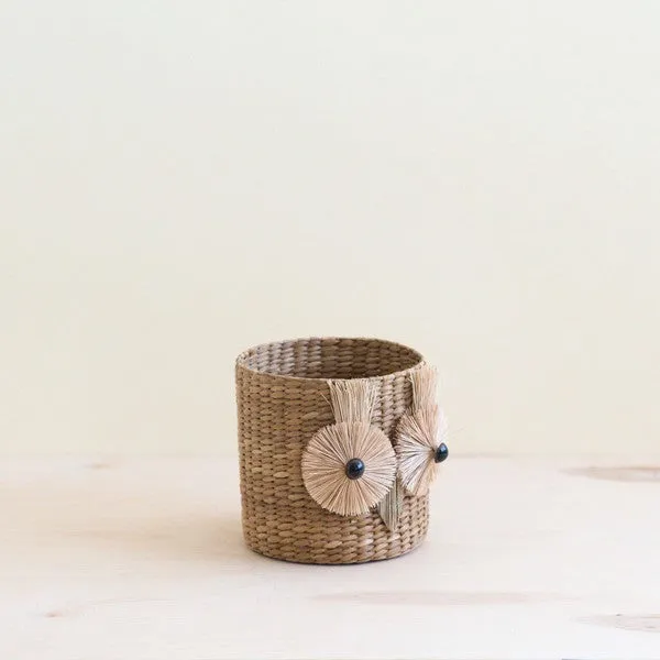 Owl Seagrass Basket Planter - Succulent Plant Pot