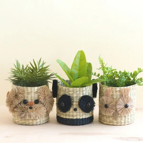 Owl Seagrass Basket Planter - Succulent Plant Pot