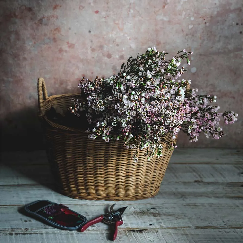 Rue Rattan Catchall Basket