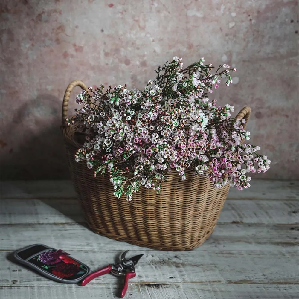 Rue Rattan Catchall Basket