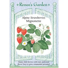 Strawberry Alpine Mignonette by Renee's Garden